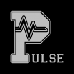 Logo du serveur Rust Pulse