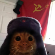 Logo du serveur Discord XV internationale
