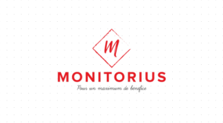 Bannière Monitorius - Achat/Revente Vinted