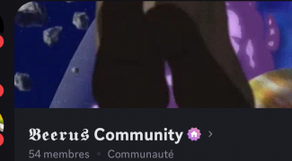 Bannière Beerus community