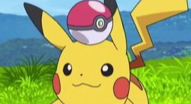 Bannière TCG Pokémon sud 13